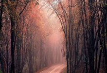 NG体育：[澳网]战胜资格赛选手 弗里茨晋级男单第三轮.