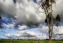 NG体育：韩国媒体爆料北京女排不让张宇邓忻朋再出国！俱乐部才是留洋障碍.